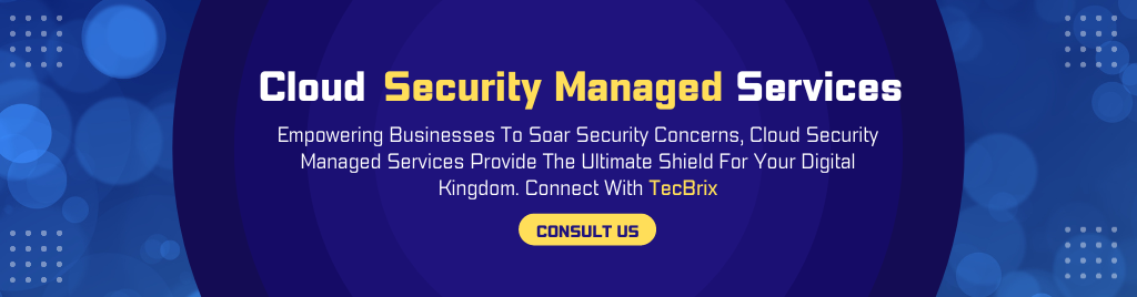 Cloud Security Managed Services - tecbrix.com